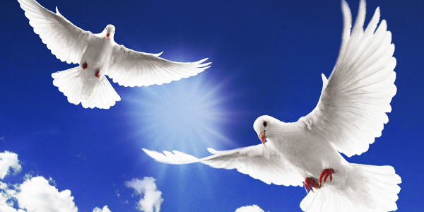 memorial-doves - Riverwood Healthcare CenterRiverwood Healthcare Center